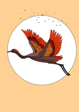 Flying Crane Illustration
