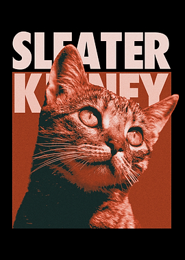 Sleater Kinney Cat Poster