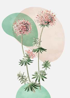 Floral Illustration with Abstract Shapes