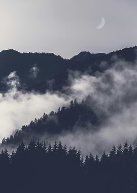 Misty Mountain Forest with Crescent Moon Nature