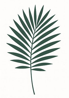 Palm Leaf Illustration