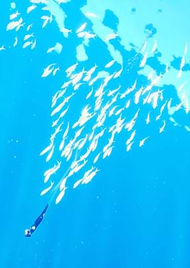 Underwater Diver with School of Fish