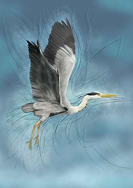 Heron in Flight Digital Art
