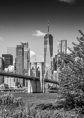 NYC Brooklyn Bridge and Skyline