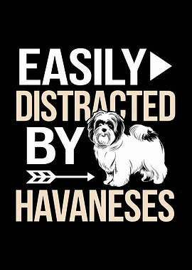 Easily Distracted By Havanese Dog
