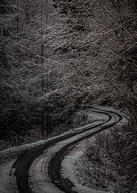 Winter Road Through Snowy Forest
