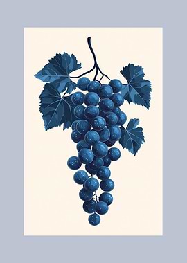 Blue Grapes Illustration | Vintage Fruit Illustration