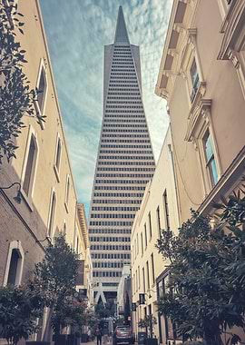 San Francisco Transamerica Pyramid View