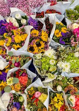 Colorful Flower Bouquet Collection