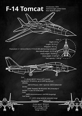 F-14 Tomcat Blueprint
