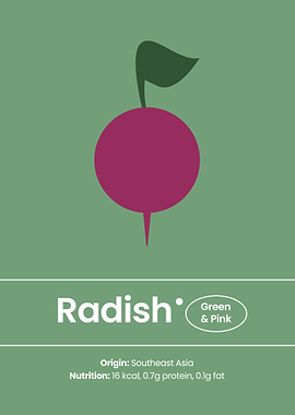 The Art of Radish