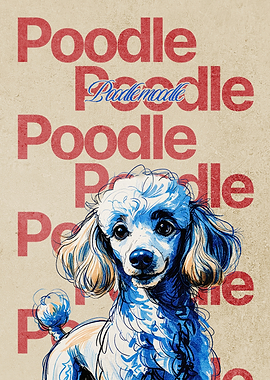 Poodle Dog Poster