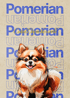 Pomeranian Dog Poster