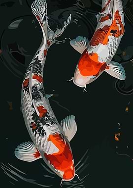 Two Koi Fish in Dark Water