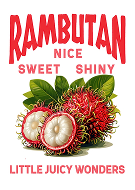 Rambutan Tropical Fruit Illustration