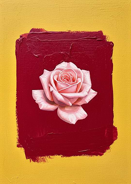 Pink Rose on Red and Yellow