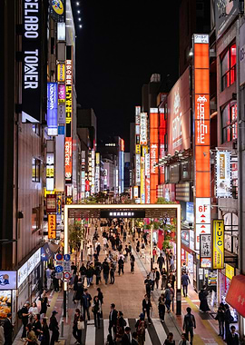 Nighttime Tokyo Street Scene Japan China