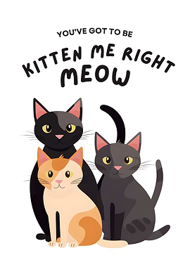 Kitten Me Right Meow Cats