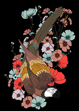 Parrot and Flowers on Black Background