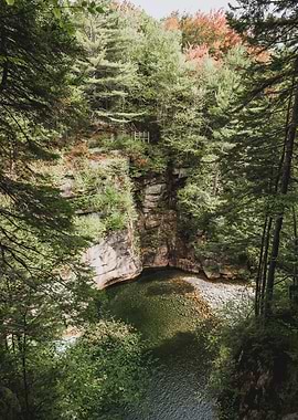Forest Cliffside with River View