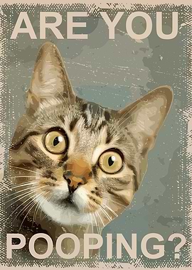 Are You Pooping? Cat Poster Funny
