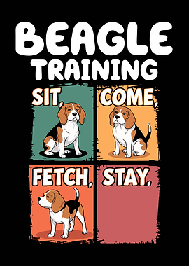Beagle Training Commands