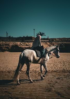 Woman riding horse on beach