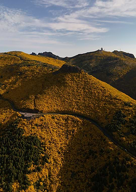 Pico do Areeiro - Madeira from a mountain full with yellow flowers