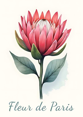Fleur de Paris Protea Flower Art