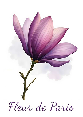 Fleur de Paris Magnolia Blossom