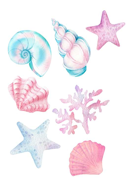 Watercolor Seashells and Starfish Illustration