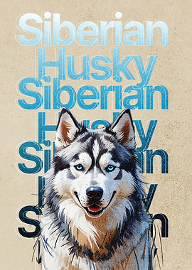 Siberian Husky Dog Poster