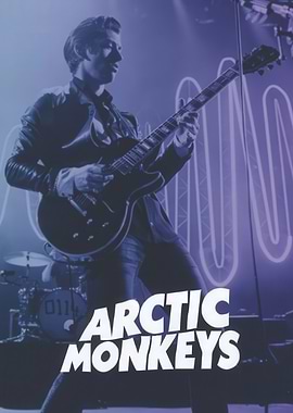 Arctic Monkeys Concert