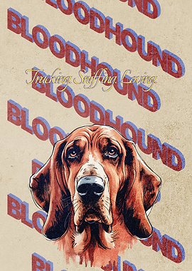 Bloodhound Dog Poster