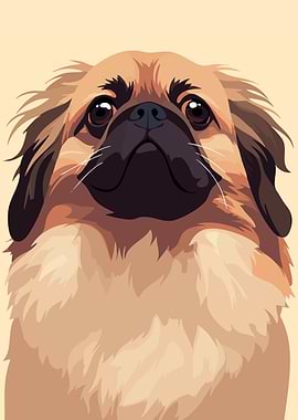 Cute Funny Pekingese Dog Portrait Minimalist Illustration Art