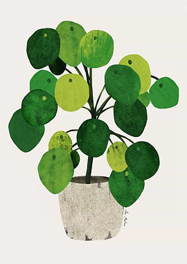 Potted Pilea Plant Illustration
