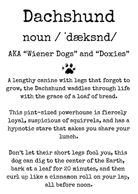 Dachshund Definition Funny Dog Quote
