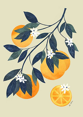 Orange Branch with Blossoms Illustration