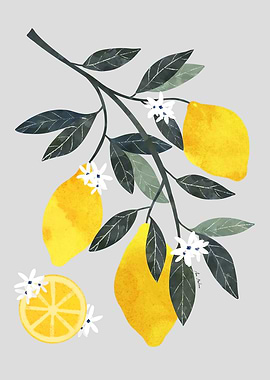 Lemon Branch Watercolor Illustration