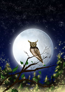 Moonlight and Owl