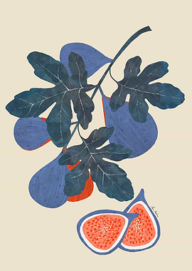 Fig Branch Illustration