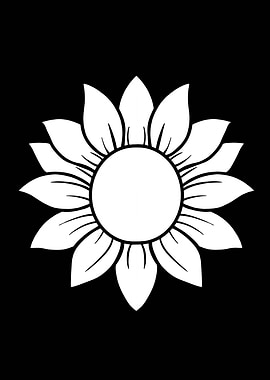 White Sunflower on Black Background