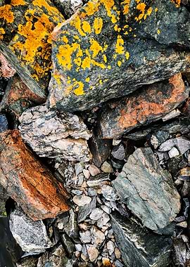 Pile of Rocks with Yellow Moss