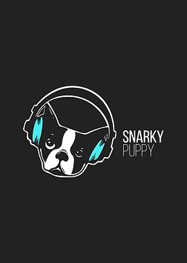 Snarky Puppy