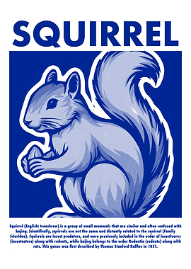 Squirrel Illustration in Blue and White