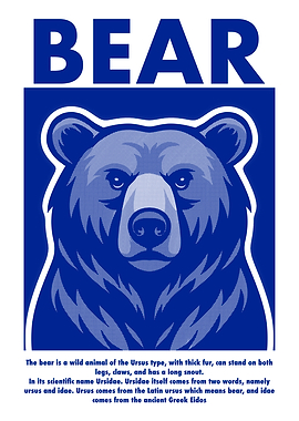 Bear Illustration with Text