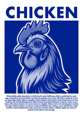 Chicken Illustration in Blue and White