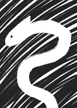 Abstract White Snake on Black Background