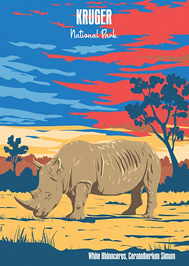 Kruger National Park White Rhino