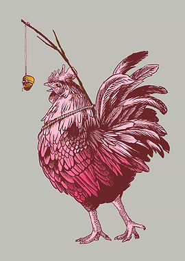 Pink Rooster with Bait